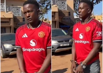 Chicken Chicken Arrested Over Car Vandalism