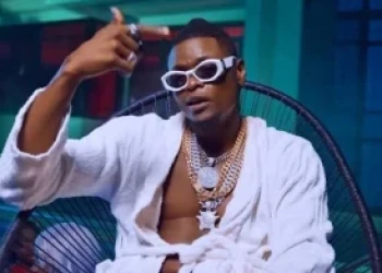 Pallaso Weighs In on the Ongoing National DNA Debate
