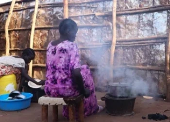 Government Tells Ugandans to Dump Charcoal, Firewood and Embrace Electric Cooking
