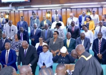 MPs want healthcare gaps fixed despite slight progress