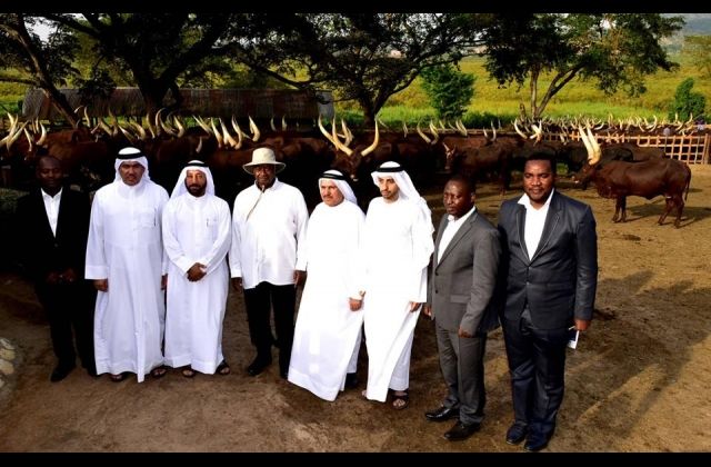 President Museveni Receive delegation from UAE, urges them to invest in Uganda