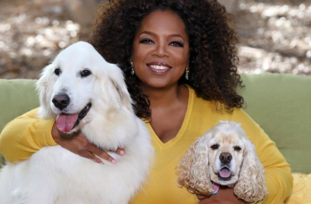 Oprah Winfrey Pregnant with First Child at 61