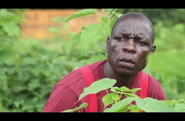 Comedian Zizinga to join politics 