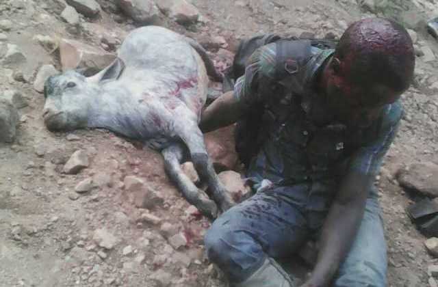 Police hunts for angry mob that chopped suspected goat thief into pieces