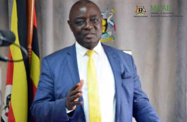 We shall arrest you- Agriculture minister warns farmers who dry produce on bare ground