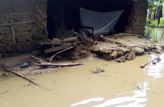 Heavy rains destroy homes, crops, kill animals in Kasese