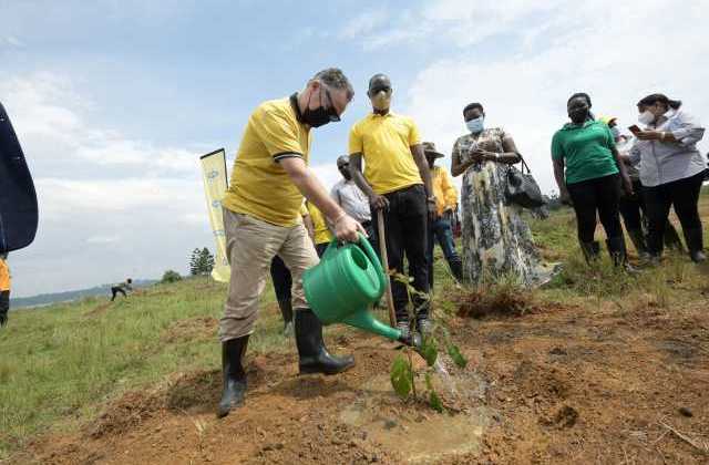 MTN Deepens its Roots in Uganda as it Restores  220 Hectares of Forest Cover