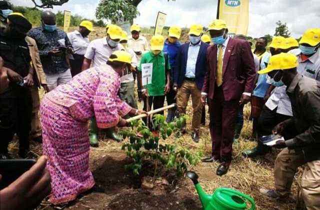 MTN Restores 50 Hectares of Forest cover in Arua as it continues to Deepen its Roots in Uganda