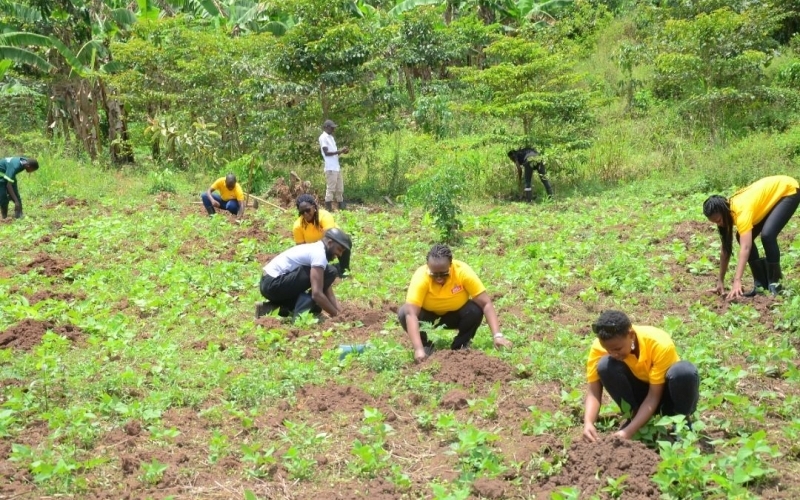 Uganda Breweries staff plant 1,200 trees in Luweero in ‘Running Out of Trees’ campaign