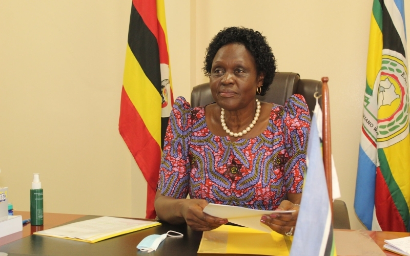 Mama Mabira criticized for abandoning role as Environment Minister