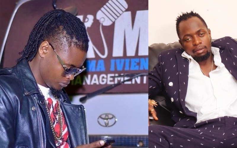 I contributed greatly to the success of Pallaso - Karma Ivien 