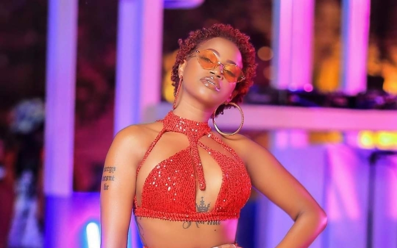 My 2-day Concert is a lesson to young artists to dream big - Sheebah