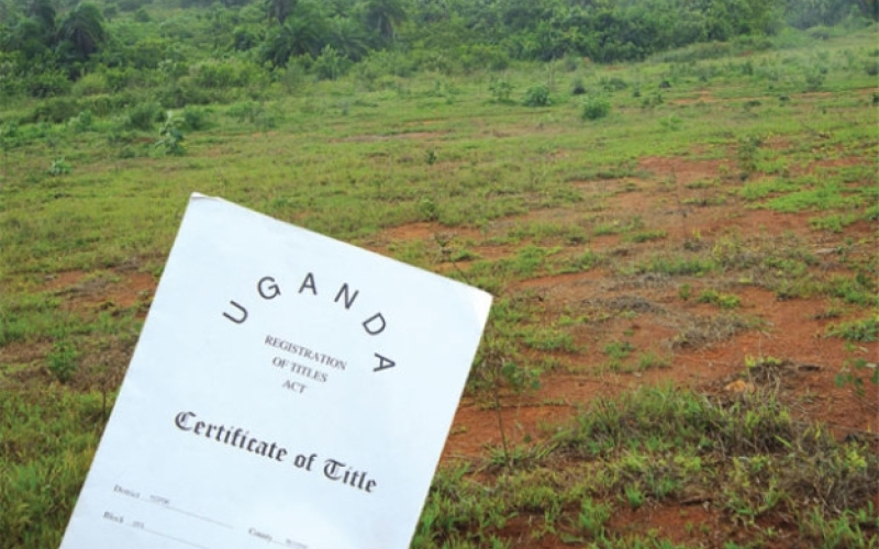 Legislators task government to withdraw more than 1000 illegal land titles on Forest reserves