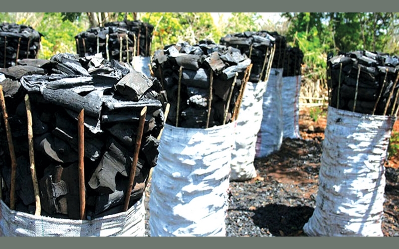 Gulu leaders want Charcoal Production Permit ban extended to all districts in Acholi Sub region