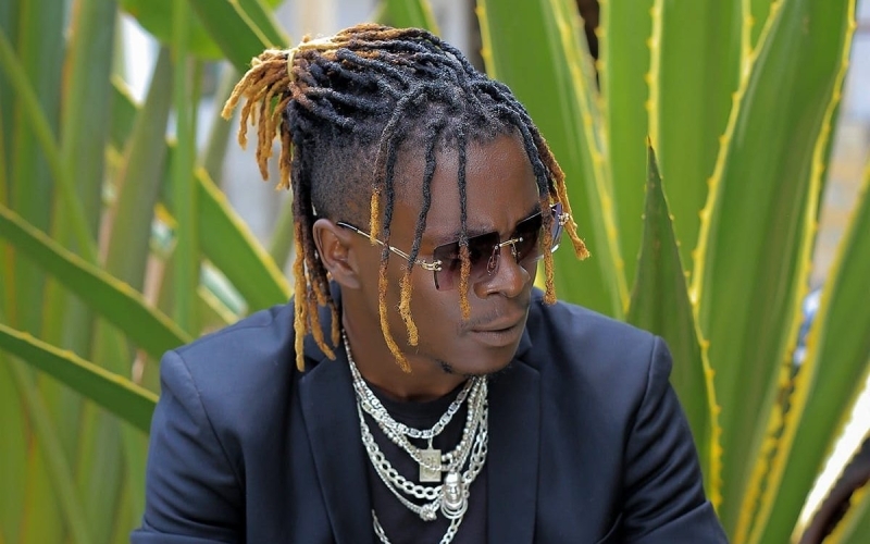 I will protest at Parliament over Copyright Law - King Saha