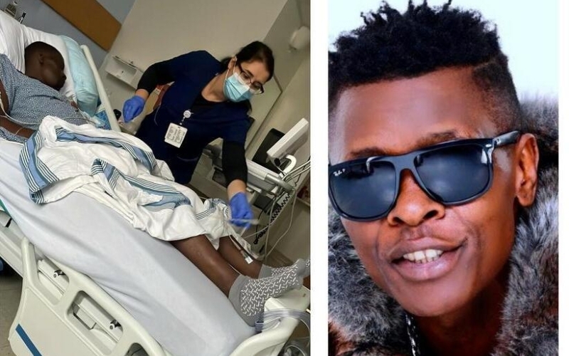 Chameleon's Illness Causes Concern Among Fans