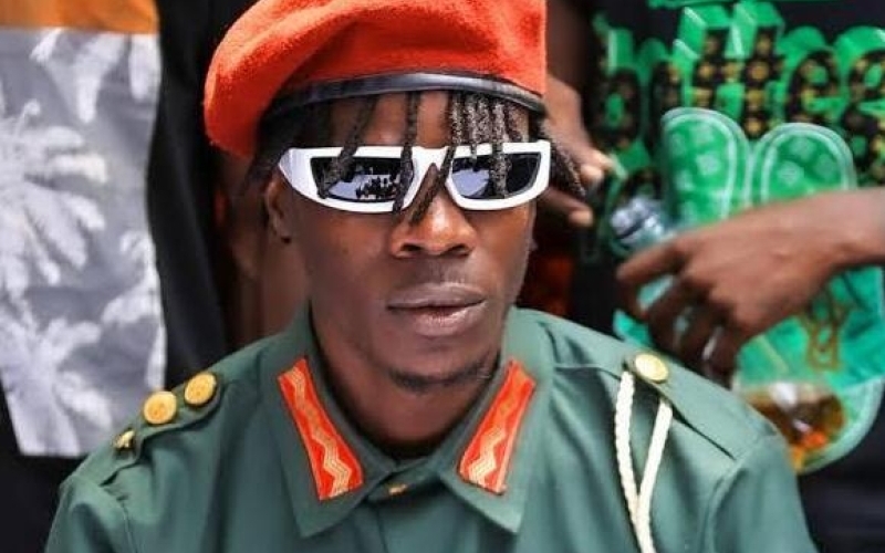 Alien Skin: I'm an Independent Musician, Not a Politician