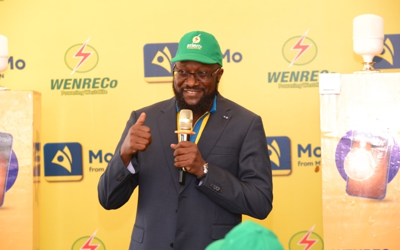 MTN Mobile Money, WENRECo partner to bring easy access to electricity tokens