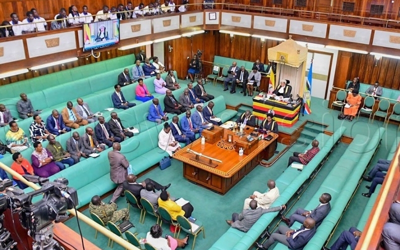 Parliament Fast-Tracks Agency Mergers with Nine Bills Introduced