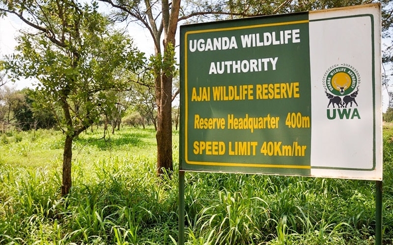 Uganda Wildlife Authority admits lack of due diligence in contracting firm