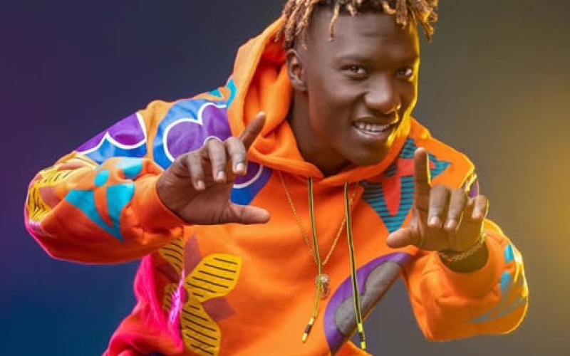 I Was Advised to Quit Music Because of My Poor Appearance - Vian Music