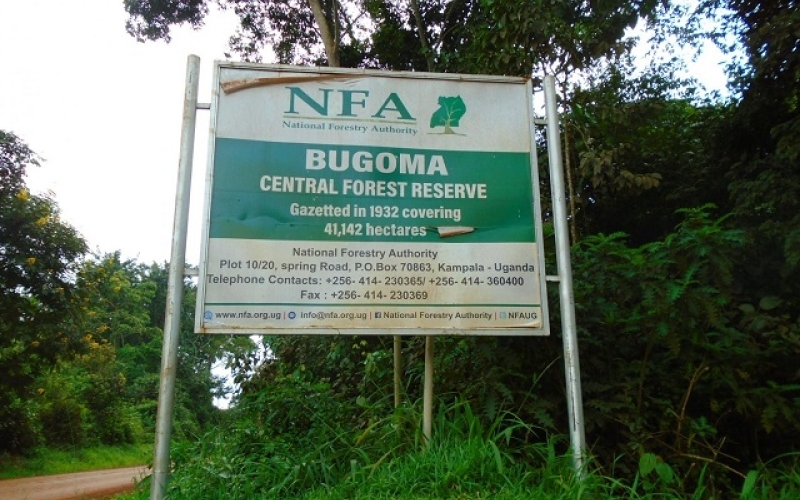 MPs reject move to rationalise National Forestry Authority