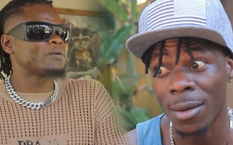 Jailbird Alien Skin Gets Roasted by Pallaso!