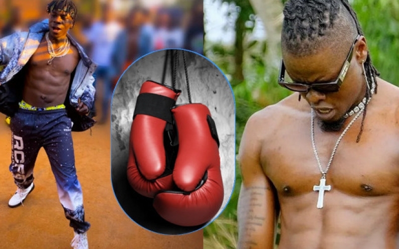 Uganda Boxing Federation President Muhangi Proposes Boxing Match for Alien Skin and Pallaso