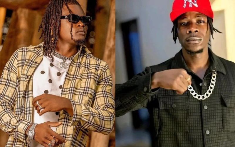 I Don't Need Mukula to Fix My Beef with Pallaso - Alien Skin