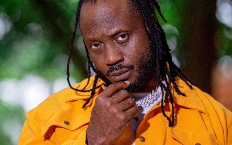 I have promoted Ugandan music more than anyone else - Bebe Cool