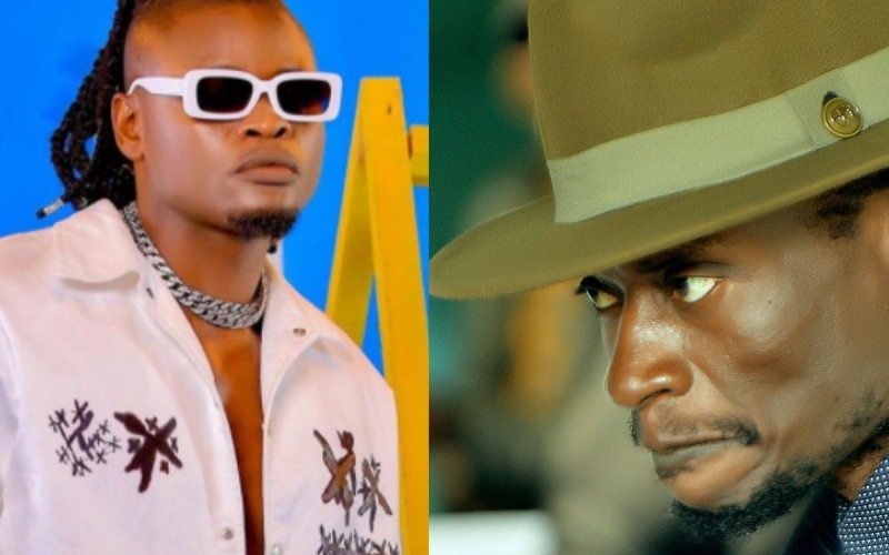Abitex is Most Exploitative Promoter - Pallaso