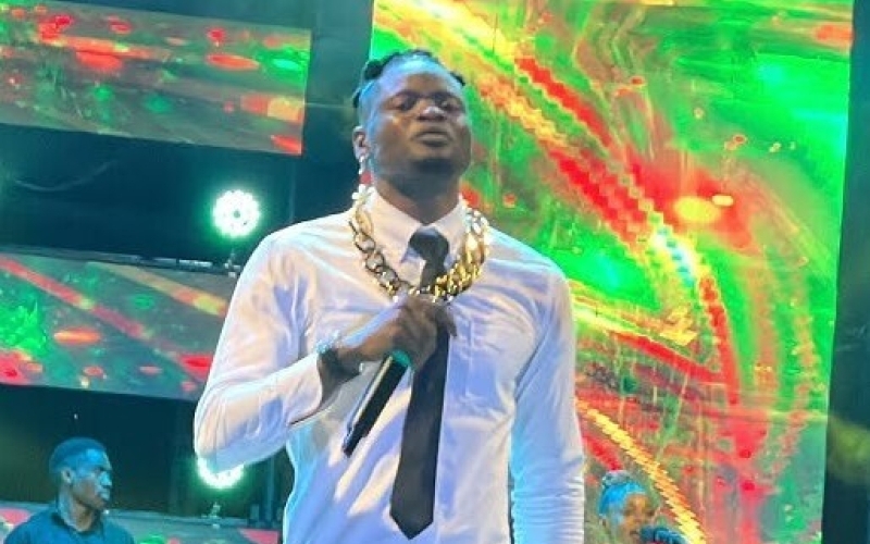 An Outsider's Look at Pallaso's Sanyu Sanyu Music Concert