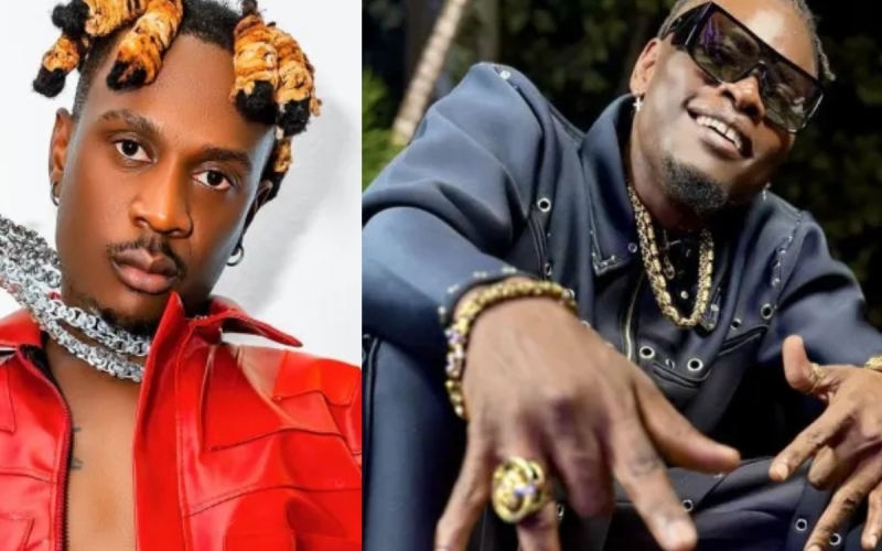 Pallaso Is Just My Fan; He Has Never Contributed Anything to My Journey - Fik Fameica