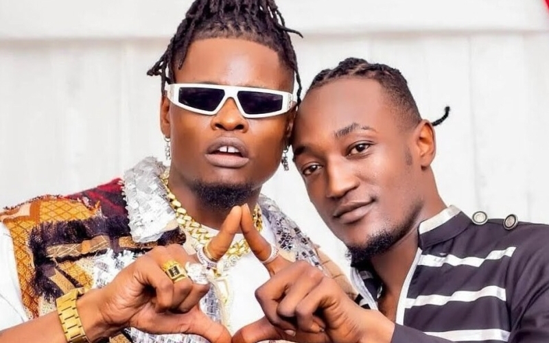 Fik Gaza Blasts Pallaso;