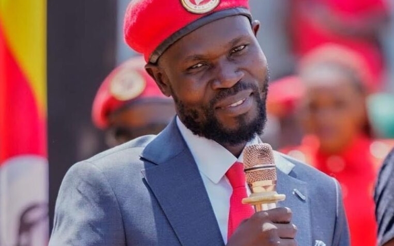 Reasons Why Elias Nalukoola's Election Was Nullified by High Court