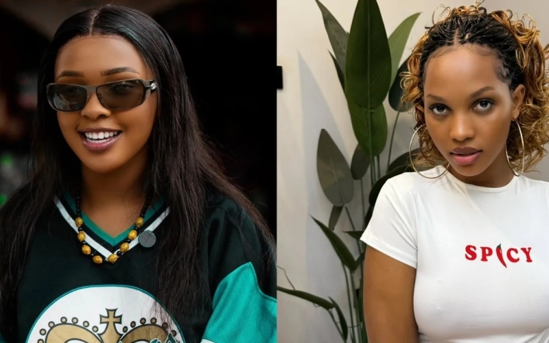 Jowy Landa Throws Shade at Spice Diana Again