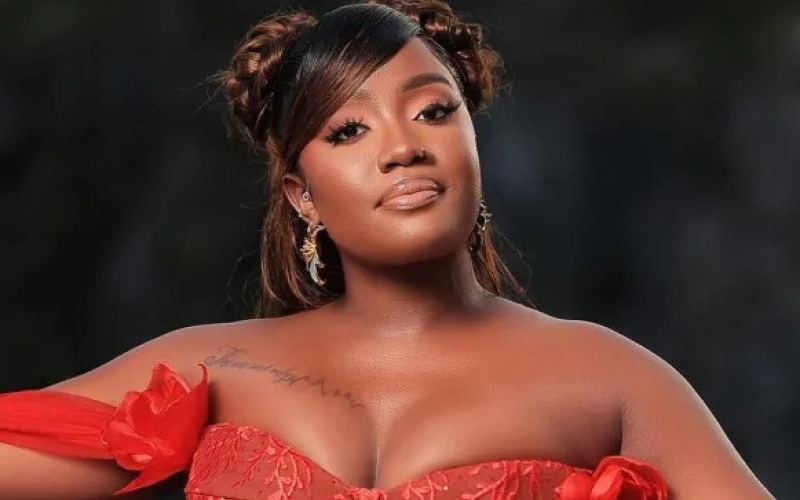‎I Plan to Give Birth to Twins - Lydia Jazmine 