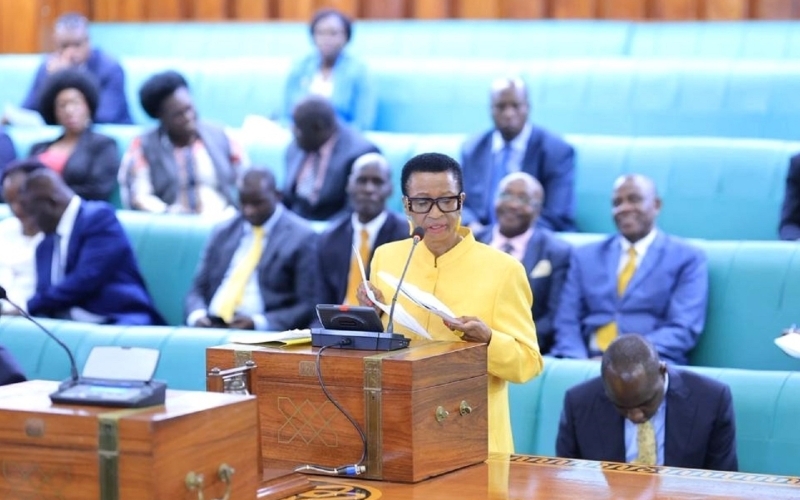Minister presents National Drug and Health Products Authority Bill