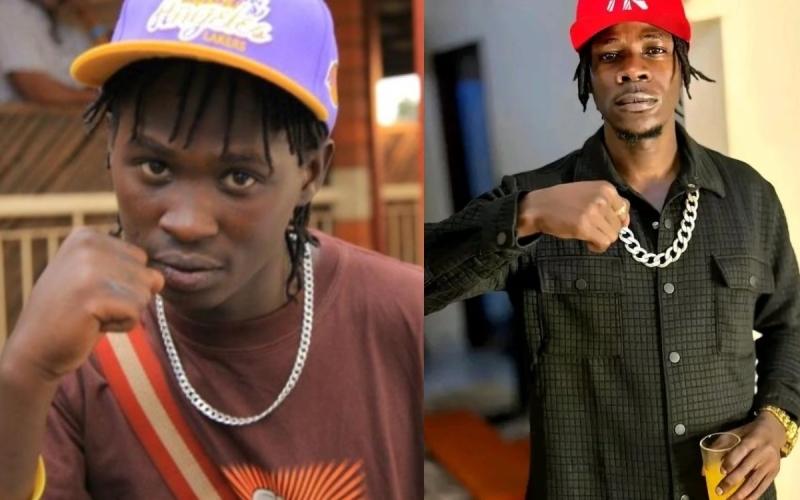Young Mulo Challenges Alien Skin to a Boxing Match