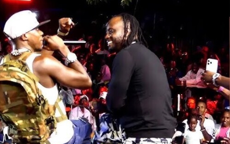 Alien Skin Is Doing Well  - Bebe Cool to Alien Skin's Fans
