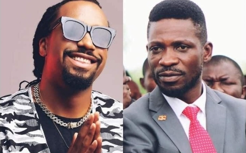I Would Love to See Bobi Wine Back on Stage – Navio