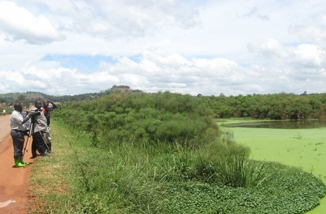 NEMA Demolishes Illegal Structures in Lubigi Wetland