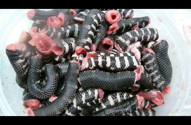 Snakes, Frogs, and Dog Meat Sold In Uganda Supermarket.
