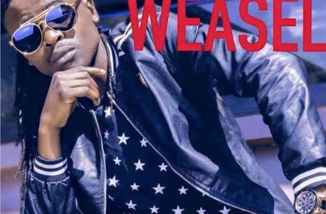Download: Weasel Releases Gababuguma
