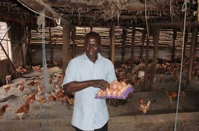 How NSSF boosted Kagenyi’s Poultry business