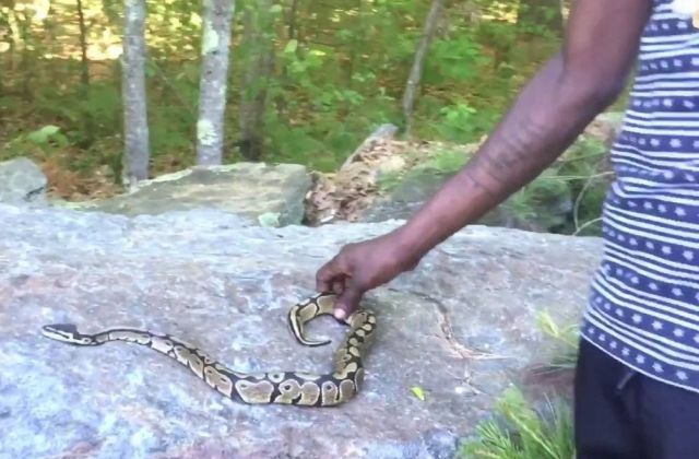 This Video Of Chameleone Playing With A Snake Makes People Believe He’s illuminati!