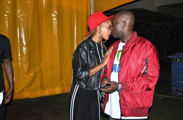 Spice Diana And Manager PDA Accelerates