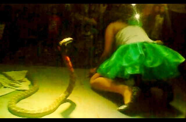 Singer Irene Dies On Stage After Cobra Bit Her During Performance — Video