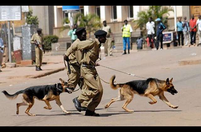 Police gives up search for missing boys in Budaka