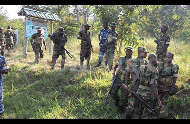 9 Dead and 80 Arrested after Bundibugyo clashes